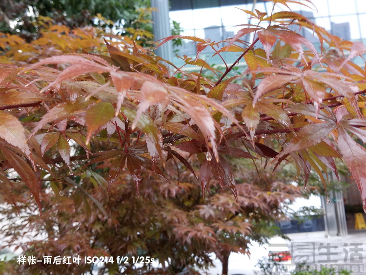 162210998031image25 副本.jpg image25 副本.jpg